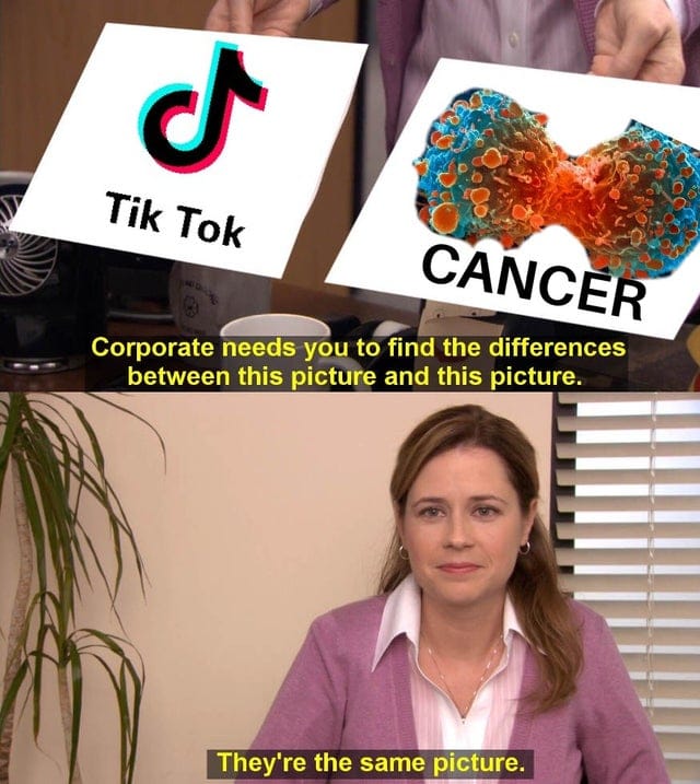 TikTok is cancer (Mobhouse Productions)